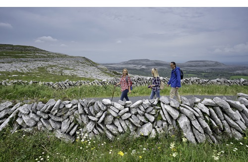 Celebration of Burren’s Trademark Dry Stone Walling This July