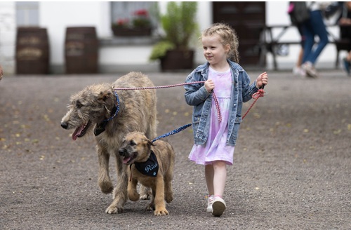 Bunratty to Host First-Ever ‘Bark in the Park’ Fun Dog Show
