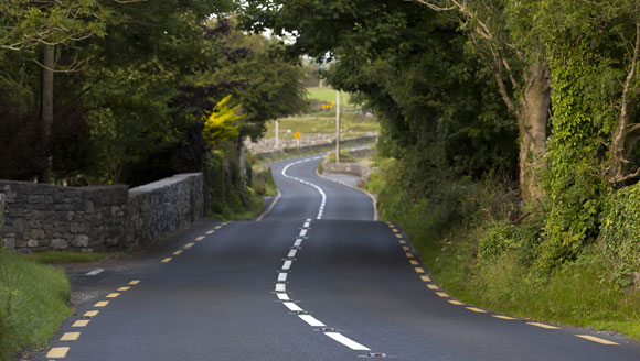 Hedges on the side of a road