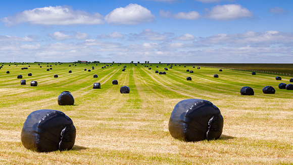 Farm Plastic