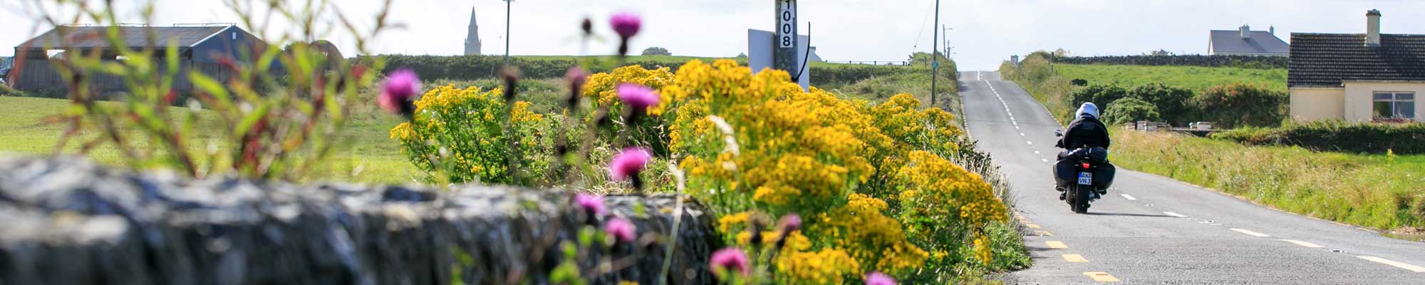 Road with flowers