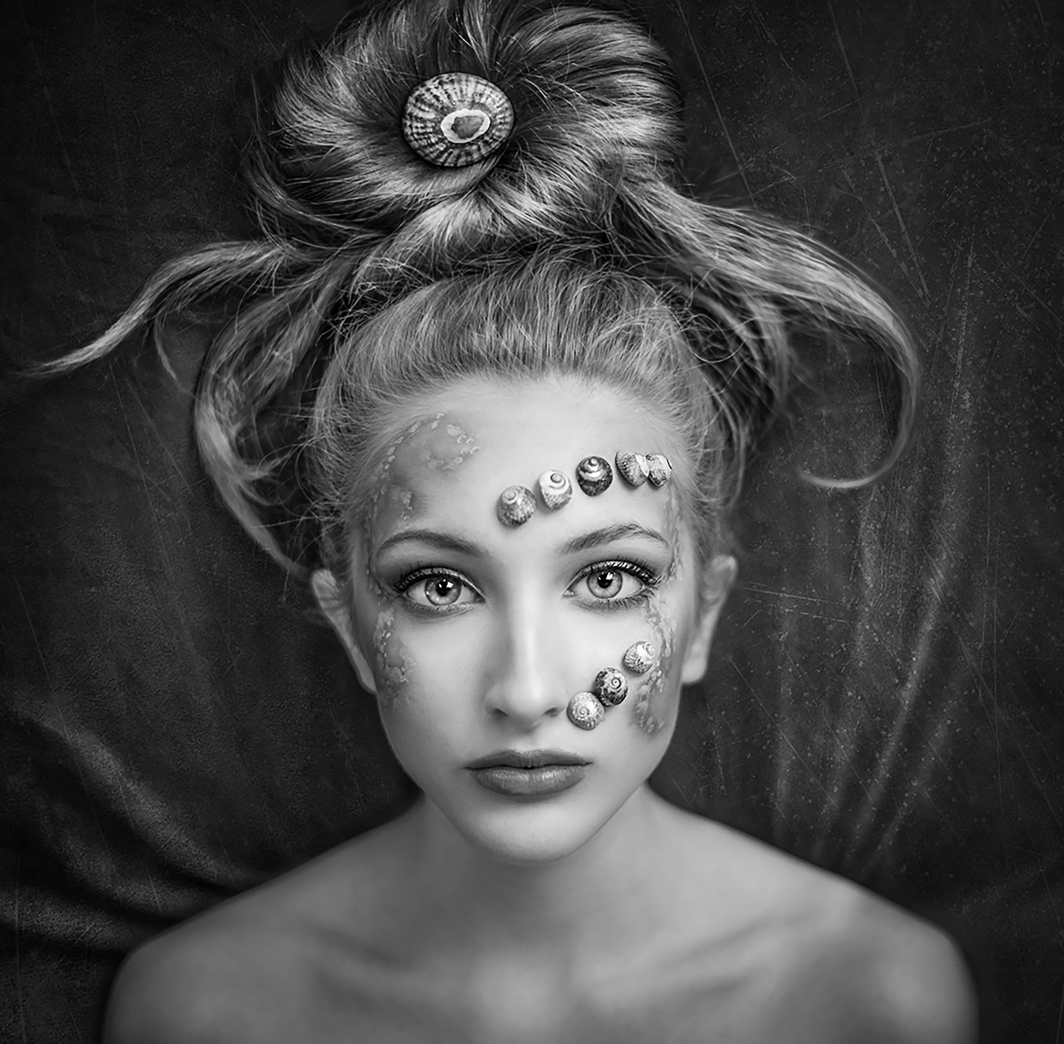 The Shell by Beata Rosik